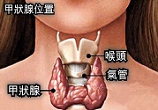 治療?甲亢的中醫(yī)具體實(shí)施方法