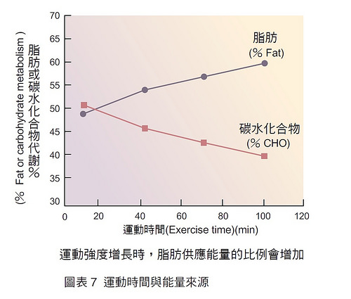 運(yùn)動前喝咖啡好嗎 如何游泳可以減肥