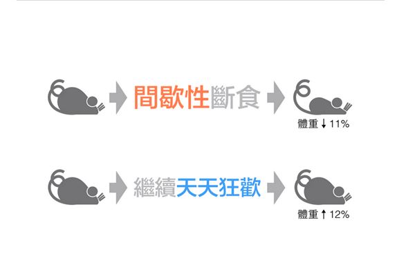 以前的減肥都做錯(cuò)了?研究表明多量少餐更能瘦