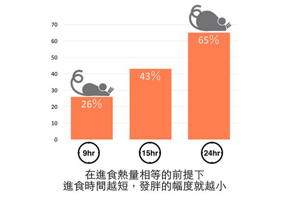 以前的減肥都做錯(cuò)了?研究表明多量少餐更能瘦