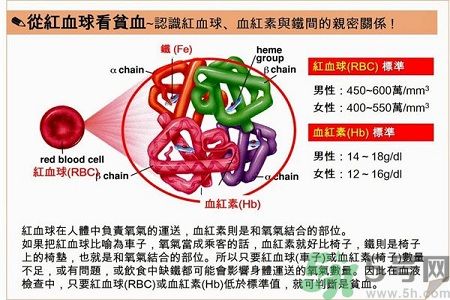 貧血的癥狀 貧血的人吃什么補血最快?