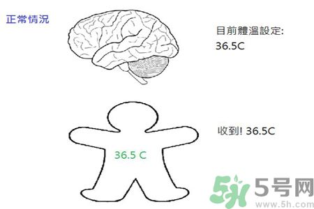 寶寶發(fā)燒怎么辦?這樣做菜正確...