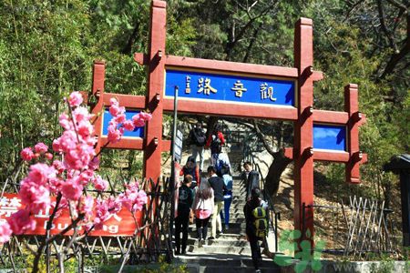 春節(jié)寺廟燒香腿拉傷怎么辦?健康治療方法