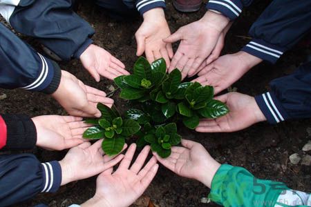 植樹節(jié)是什么時候?植樹節(jié)為什么定在這一天?