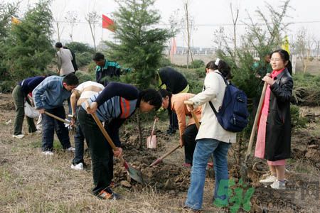 植樹節(jié)是幾月幾日？植樹節(jié)可以做些什么活動？