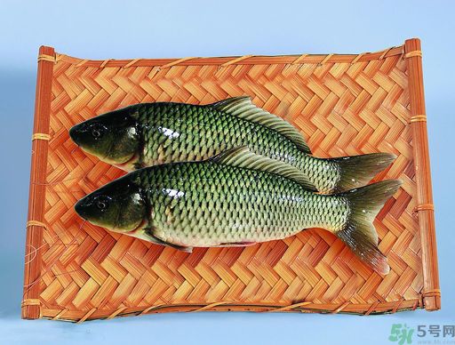 孕婦吃什么魚(yú)對(duì)胎兒好？孕婦吃什么魚(yú)最好？