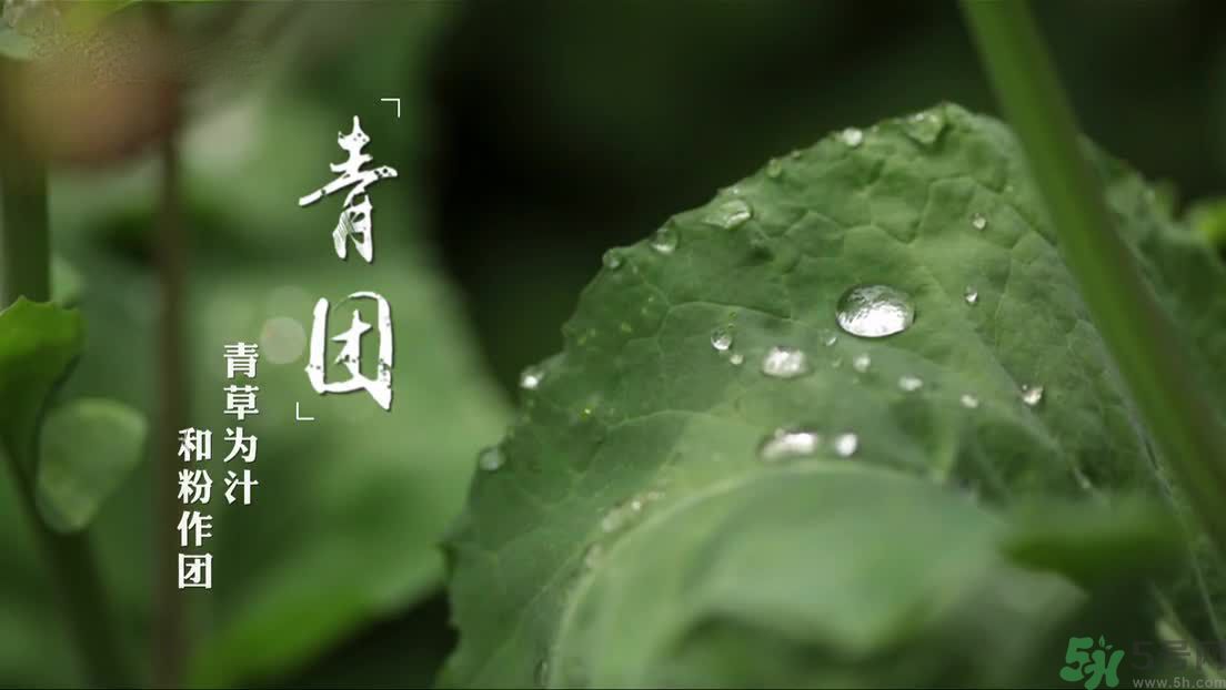 什么人不能吃青團(tuán)？吃青團(tuán)要注意什么？