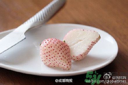 菠蘿莓好吃嗎？菠蘿莓好不好吃？