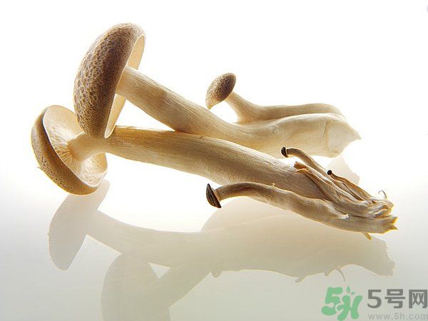 菇類的營養(yǎng)價值有哪些？怎樣挑選優(yōu)質(zhì)的菇類？