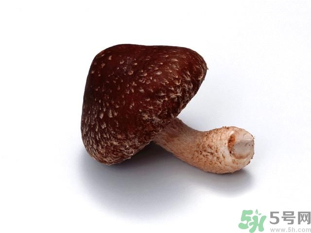 西紅柿發(fā)青可以吃嗎？青西紅柿吃了好不好？