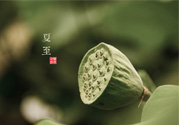 夏至有什么習(xí)俗？夏至吃什么傳統(tǒng)食物？