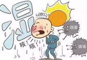 夏季濕氣重怎么辦？夏季祛濕的方法