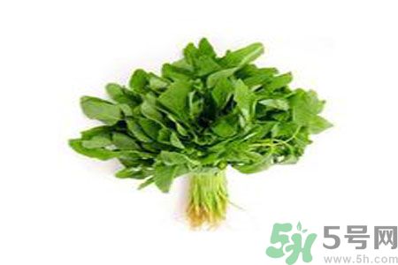 莧菜可以生吃嗎？莧菜生吃了會怎樣？