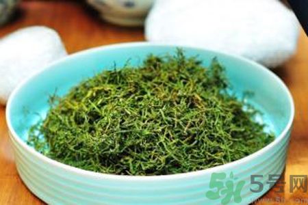 苦菜茶可以和綠茶一起喝嗎？苦菜茶可以和其他茶一起喝嗎？