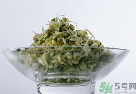 怎樣自己發(fā)綠豆芽？綠豆芽怎樣自己發(fā)？