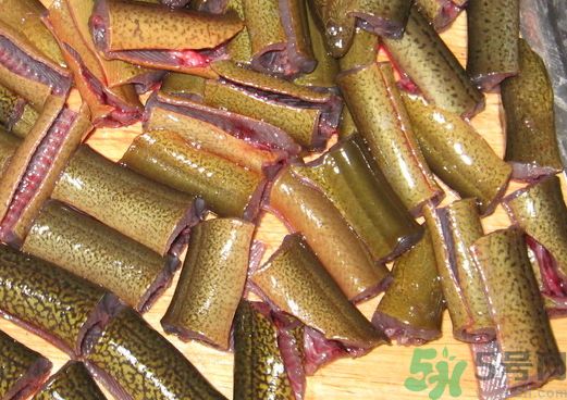 鱔魚可以和鯽魚一起吃嗎?鱔魚能和鯽魚同吃嗎?