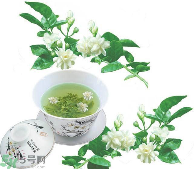 茉莉花茶可以減肥嗎？怎樣喝茉莉花茶可以減肥？