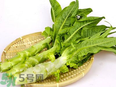 油麥菜和萵筍葉的區(qū)別?