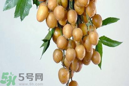 黃皮果是不是發(fā)物？黃皮果是發(fā)物嗎？