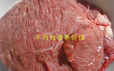 羊肉湯用哪個(gè)部分的羊肉 羊肉湯的做法及配料