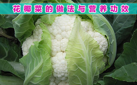 花椰菜有什么營養(yǎng)價(jià)值呢 吃花椰菜有什么好處呢