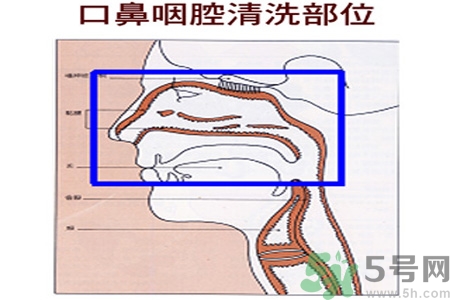 鼻炎能用生理鹽水清理鼻腔嗎？鼻炎能不能用生理鹽水清理鼻腔？