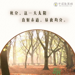 立秋是秋分嗎？立秋和秋分的區(qū)別？