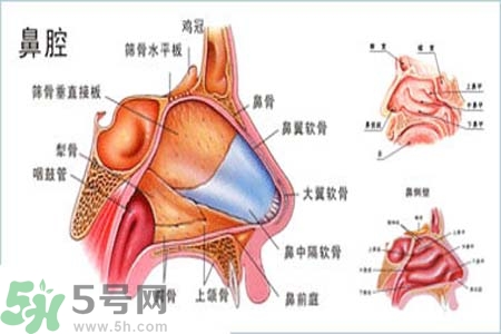 鼻竇炎的護(hù)理措施？鼻竇炎的飲食護(hù)理？