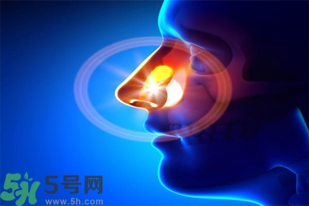 鼻竇炎的高發(fā)人群？如何預(yù)防鼻竇炎？