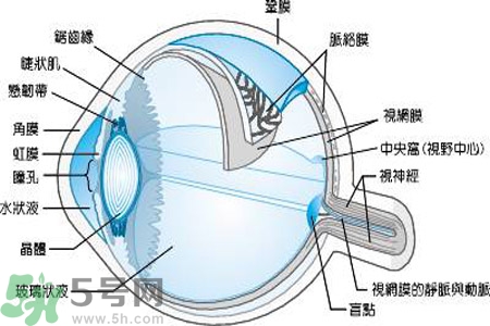 近視眼是什么？近視眼的癥狀有哪些？