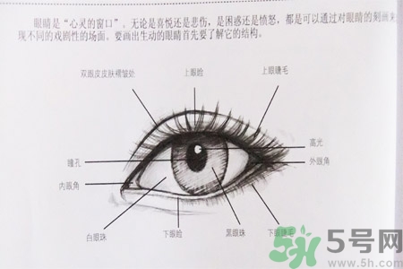 白內(nèi)障的發(fā)病因素是什么？白內(nèi)障并發(fā)癥有哪些？