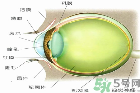 青光眼的治療方法有哪些？青光眼可以哪些藥物治療？