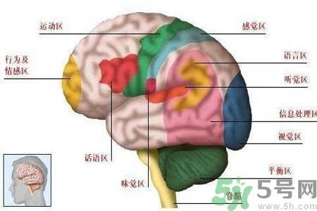 腦出血的發(fā)病因素是什么？腦出血的并發(fā)癥有哪些？