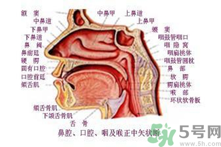 鼻咽癌的日常措施是什么？鼻咽癌注意的飲食有哪些？