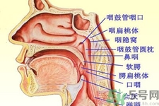 鼻咽癌的日常措施是什么？鼻咽癌注意的飲食有哪些？