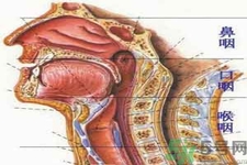 鼻咽癌的治療方法是什么？鼻咽癌可以用什么藥物治療？