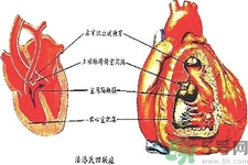 先天性心臟病可以用藥物治療嗎？