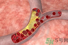 膽固醇對人體有傷害嗎？膽固醇是什么？