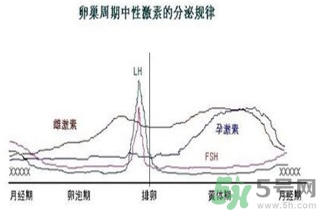 如何分清常見的激素藥？如何正確使用激素類藥物？