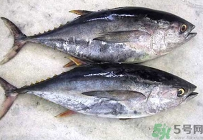 金槍魚的營(yíng)養(yǎng)價(jià)值 金槍魚的功效與作用及食用方法