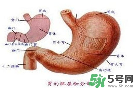 急性腸胃炎哪些食物不可以吃？急性腸胃炎不能吃的水果有？