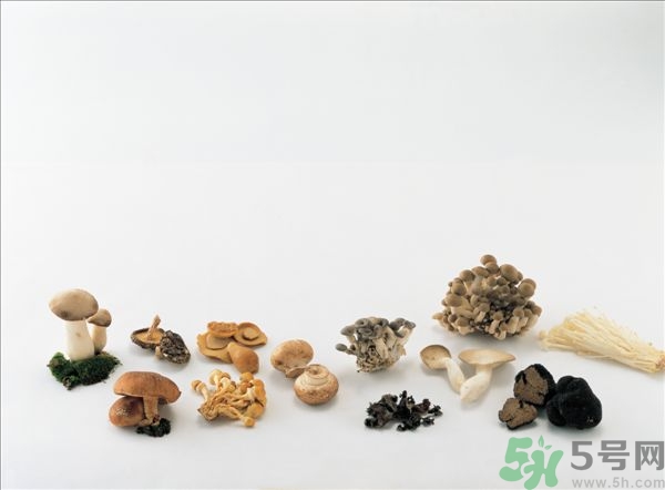 吃金針菇會(huì)發(fā)胖嗎?金針菇的熱量是多少