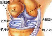 前十字韌帶斷裂可以參加比賽嗎？前十字韌帶斷裂怎么治療？