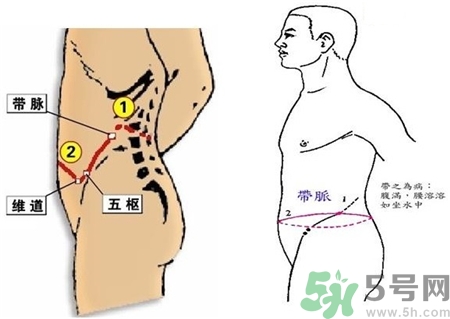 帶脈不通對(duì)人體造成的影響 帶脈不通的身體表現(xiàn)