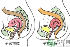 ?子宮移位怎么治療？子宮移位能懷孕嗎？