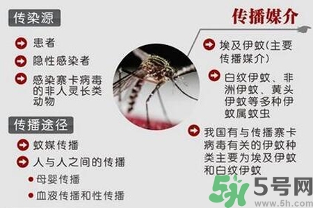 寨卡病毒會(huì)死人嗎？寨卡病毒會(huì)死嗎？