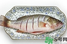 秋季適合吃什么魚(yú)？秋季吃魚(yú)的好處？