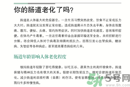 引起腸道老化的原因是什么？四種人腸道老化快