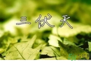 三伏天可以理發(fā)嗎？三伏天為什么不能理發(fā)？