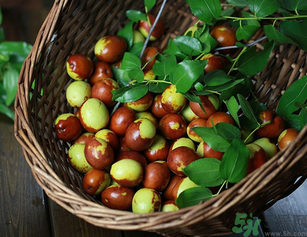 新鮮紅棗補(bǔ)血嗎？吃新鮮紅棗補(bǔ)血嗎？